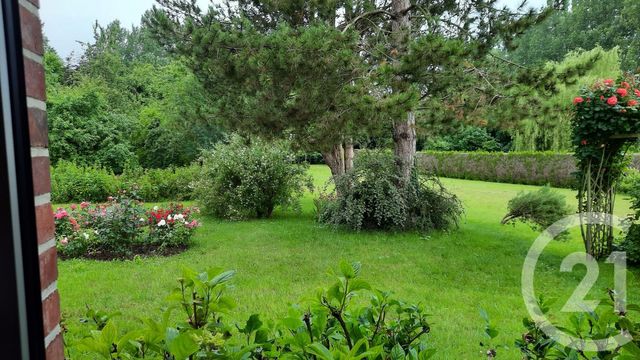 Afficher la photo en grand maison à vendre - 12 pièces - 217.0 m2 - BEAURAINVILLE - 62 - NORD-PAS-DE-CALAIS - Century 21 Les 3 Vallées