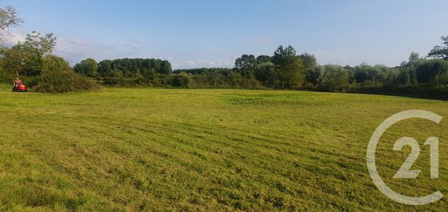 maison à vendre - 13 pièces - 340.0 m2 - MAINTENAY - 62 - NORD-PAS-DE-CALAIS - Century 21 Les 3 Vallées