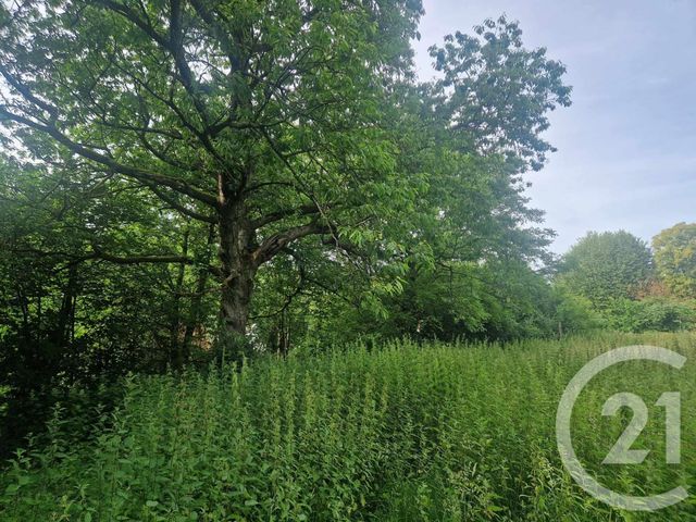 terrain à vendre - 3734.0 m2 - CORMONT - 62 - NORD-PAS-DE-CALAIS - Century 21 Les 3 Vallées