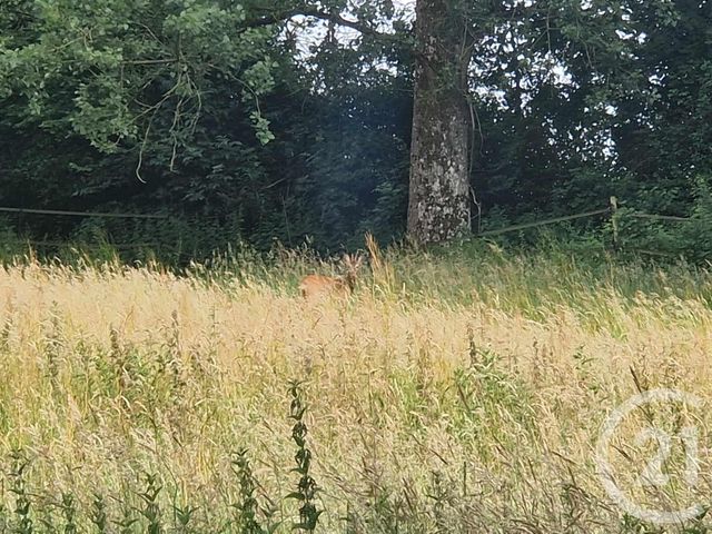 terrain à vendre - 3734.0 m2 - CORMONT - 62 - NORD-PAS-DE-CALAIS - Century 21 Les 3 Vallées