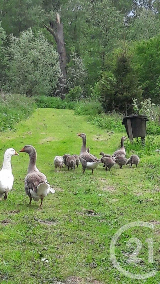 terrain à vendre - 16361.0 m2 - MONTREUIL SUR MER - 62 - NORD-PAS-DE-CALAIS - Century 21 Les 3 Vallées