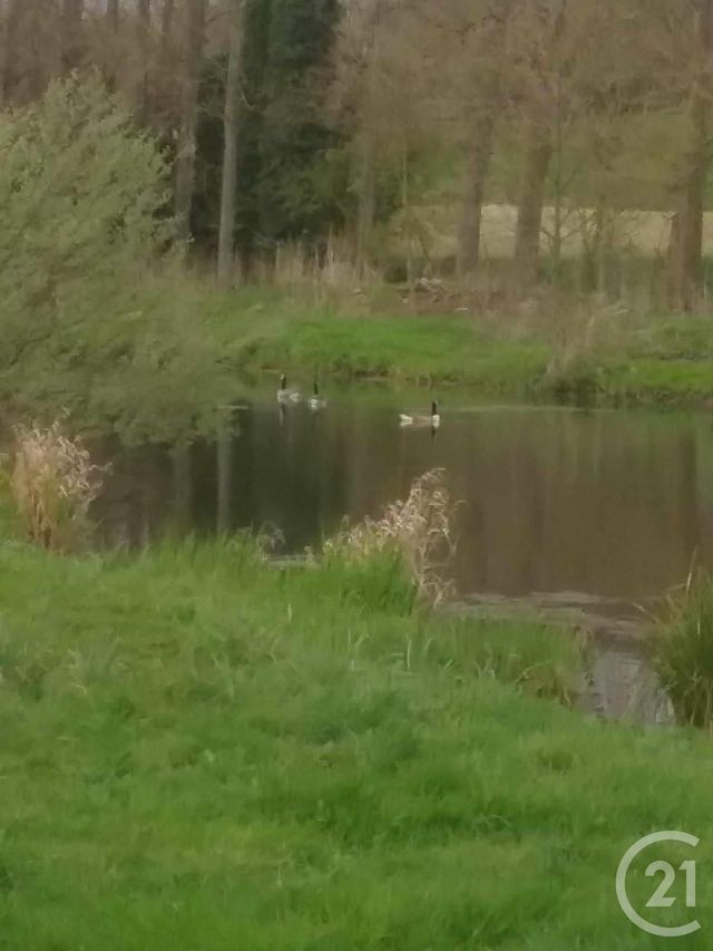 terrain à vendre - 16361.0 m2 - MONTREUIL SUR MER - 62 - NORD-PAS-DE-CALAIS - Century 21 Les 3 Vallées