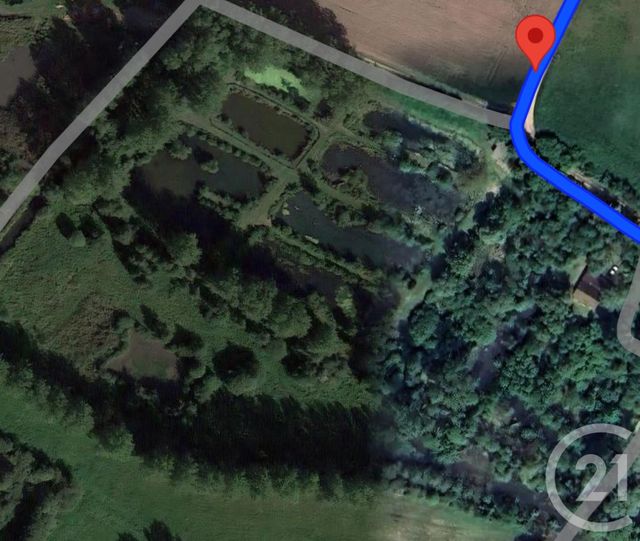 terrain à vendre - 16361.0 m2 - MONTREUIL SUR MER - 62 - NORD-PAS-DE-CALAIS - Century 21 Les 3 Vallées