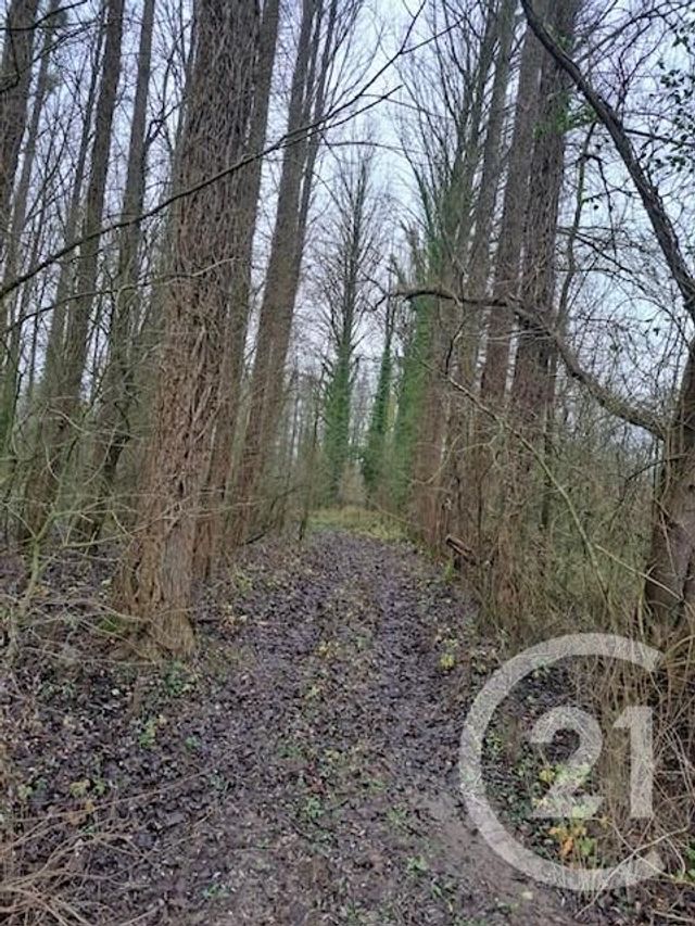 terrain - BEAUMERIE ST MARTIN - 62