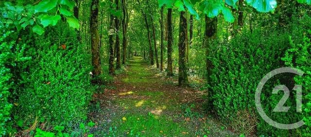 Afficher la photo en grand maison à vendre - 6 pièces - 99.55 m2 - HERLY - 62 - NORD-PAS-DE-CALAIS - Century 21 Les 3 Vallées