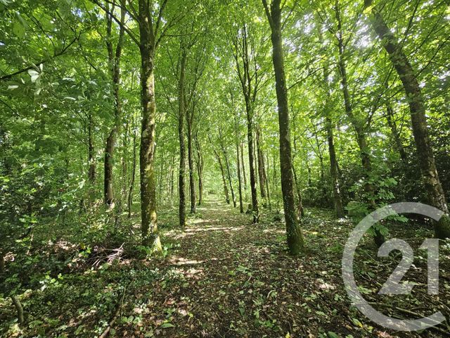 Afficher la photo en grand maison à vendre - 6 pièces - 99.55 m2 - HERLY - 62 - NORD-PAS-DE-CALAIS - Century 21 Les 3 Vallées