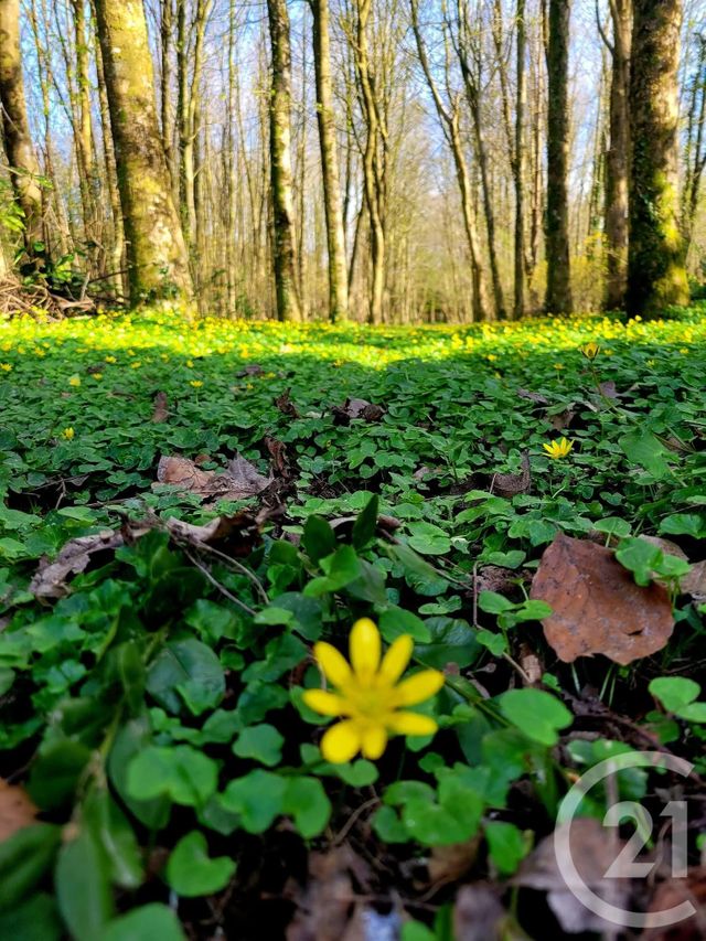 Afficher la photo en grand maison à vendre - 6 pièces - 99.55 m2 - HERLY - 62 - NORD-PAS-DE-CALAIS - Century 21 Les 3 Vallées