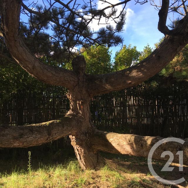 Afficher la photo en grand maison à vendre - 8 pièces - 155.89 m2 - CAMIERS - 62 - NORD-PAS-DE-CALAIS - Century 21 Les 3 Vallées