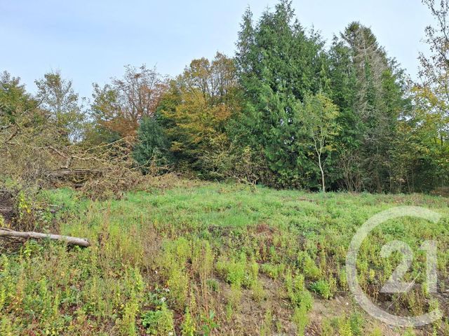 Afficher la photo en grand terrain à vendre - 1000.0 m2 - MARLES SUR CANCHE - 62 - NORD-PAS-DE-CALAIS - Century 21 Les 3 Vallées