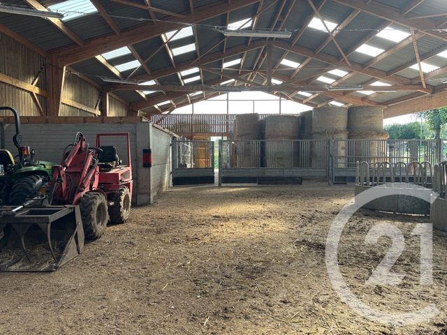 maison à vendre - 11 pièces - 198.0 m2 - LONGFOSSE - 62 - NORD-PAS-DE-CALAIS - Century 21 Les 3 Vallées