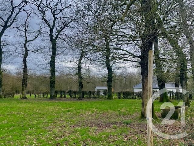 Terrain à vendre BOURTHES