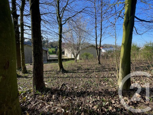 maison à vendre - 5 pièces - 112.0 m2 - HUCQUELIERS - 62 - NORD-PAS-DE-CALAIS - Century 21 Les 3 Vallées