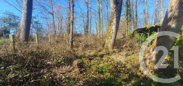 maison à vendre - 6 pièces - 95.0 m2 - SORRUS - 62 - NORD-PAS-DE-CALAIS - Century 21 Les 3 Vallées