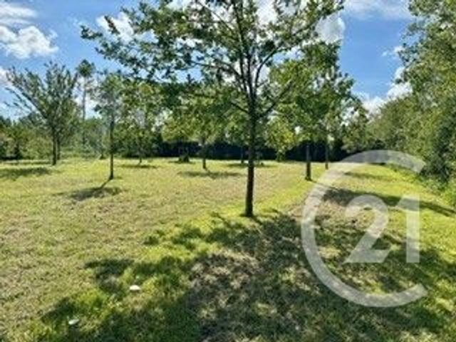 terrain à vendre - 3700.0 m2 - LA CALOTTERIE - 62 - NORD-PAS-DE-CALAIS - Century 21 Les 3 Vallées