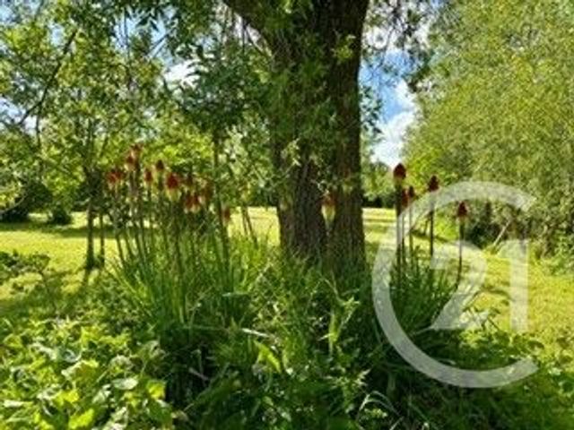 terrain à vendre - 3700.0 m2 - LA CALOTTERIE - 62 - NORD-PAS-DE-CALAIS - Century 21 Les 3 Vallées