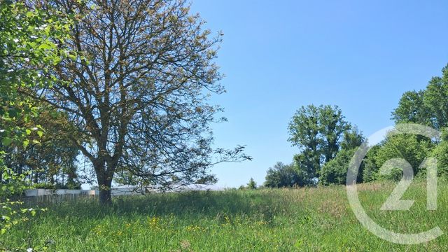 terrain à vendre - 2934.0 m2 - ARGOULES - 80 - PICARDIE - Century 21 Les 3 Vallées