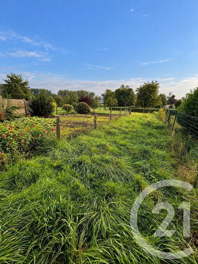 maison à vendre - 7 pièces - 140.7 m2 - BRIMEUX - 62 - NORD-PAS-DE-CALAIS - Century 21 Les 3 Vallées